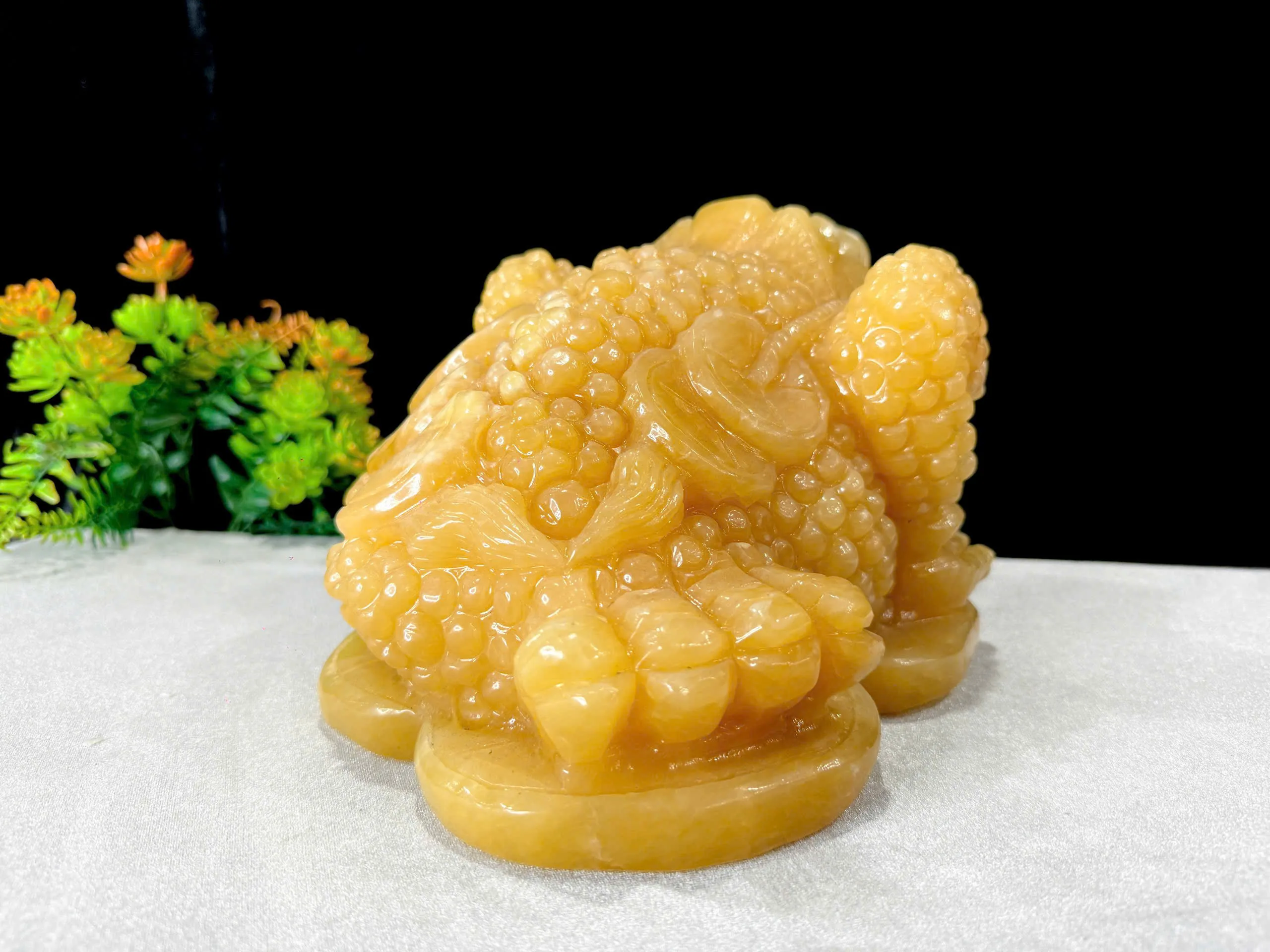 Thiềm Thừ Ngọc Hoàng Long - Ảnh 4